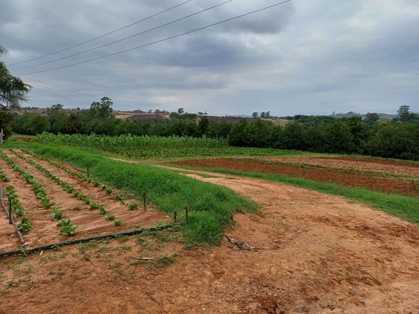 10 ha Farm