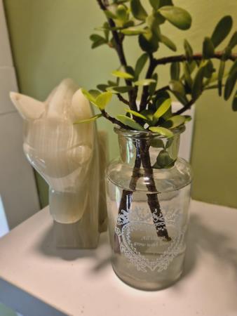 1 Bedroom Garden Cottage