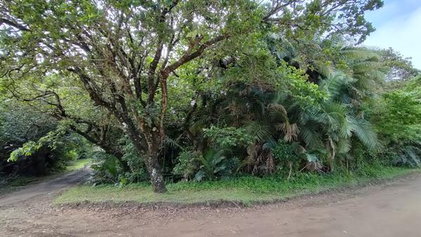 1 126 m² Land