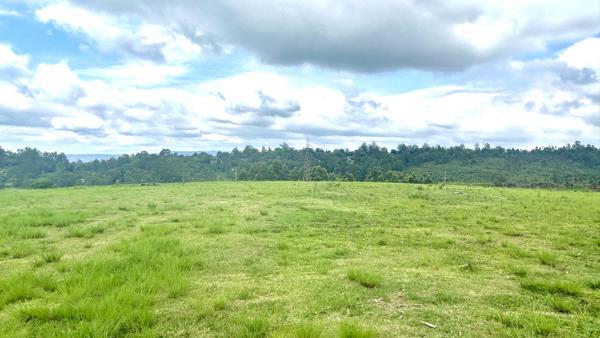 45 ha Smallholding