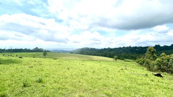 45 ha Smallholding