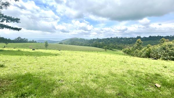 82 ha Land