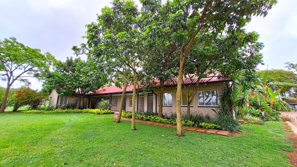 230  m² Commercial space