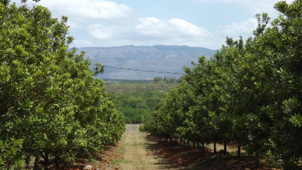 54.7 ha Farm