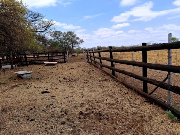 21 ha Smallholding