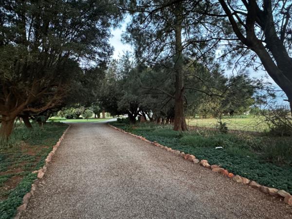 23 ha Farm