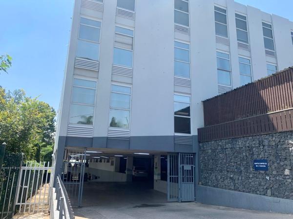 157 m² Office Space