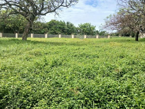 1 143 m² Land