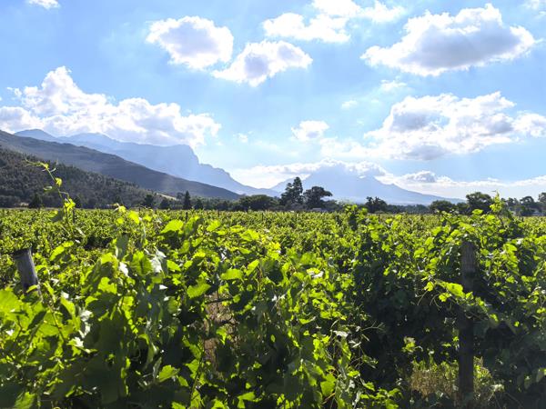 121 ha Farm