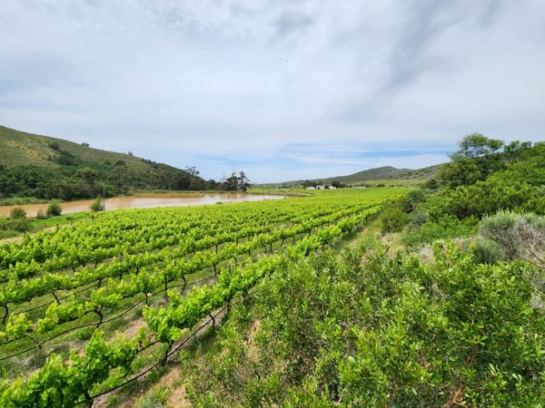 382.4 ha Farm
