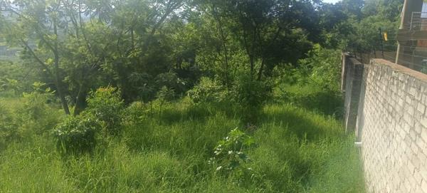998 m² Land