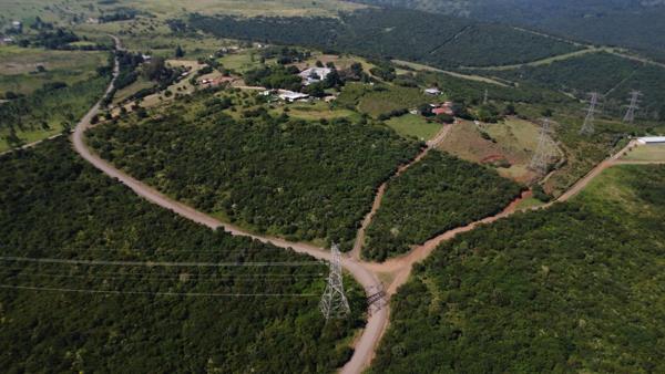 16.5 ha Farm
