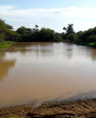 1 200 ha Farm