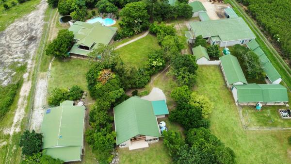 2.8 ha Smallholding