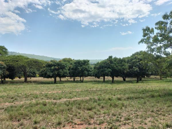 2.5 ha Land