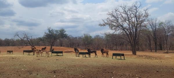 731 ha Farm