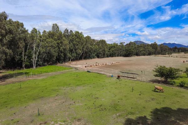 56 ha Farm