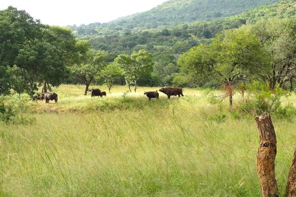 6 612 ha Farm