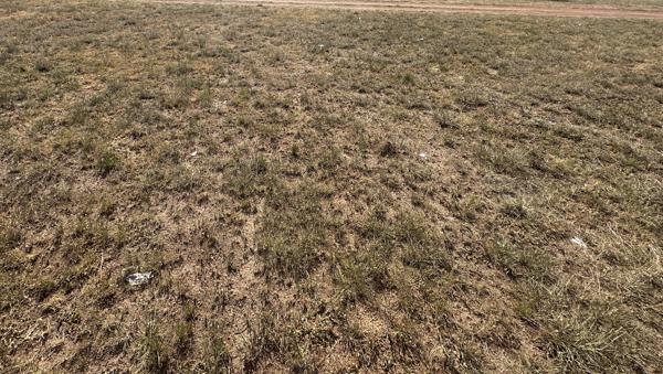 972 m² Land