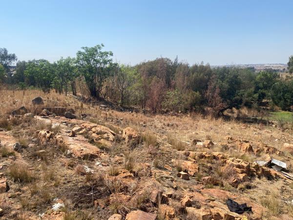 4.2 ha Agricultural Holding