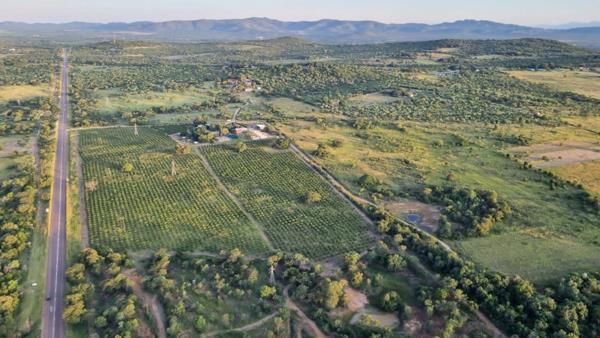 21.4 ha Commercial Farm