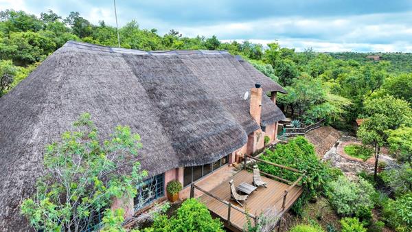 21 ha Commercial Farm