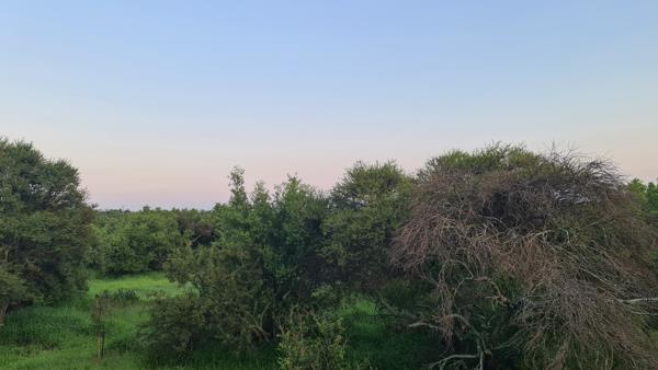 1 ha Land