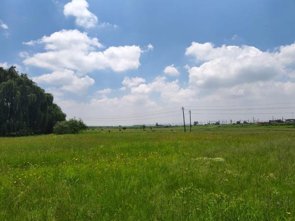 2 855 m² Land