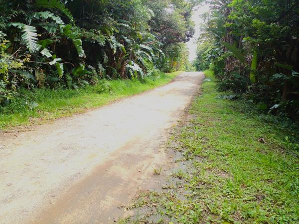 1 133 m² Land