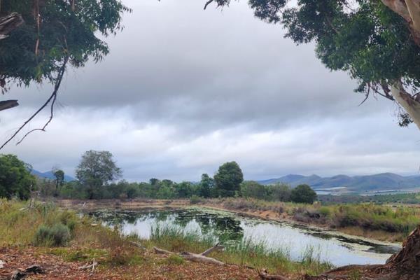46 ha Farm
