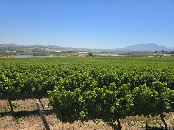235 ha Farm