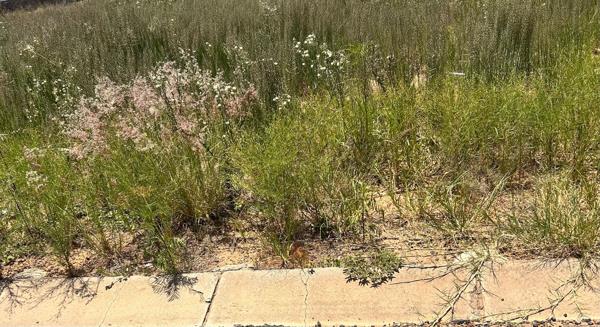 1 424 m² Land
