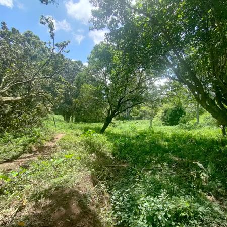 6 000 m² Land