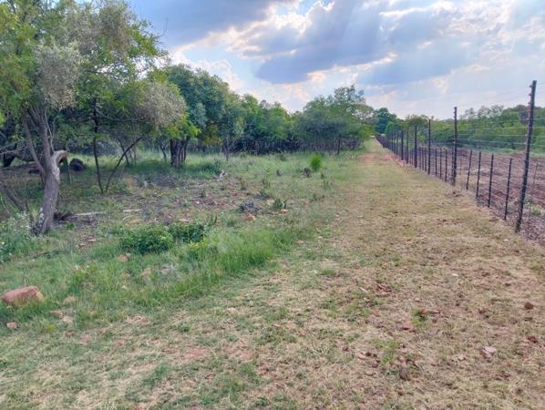 8.6 ha Smallholding