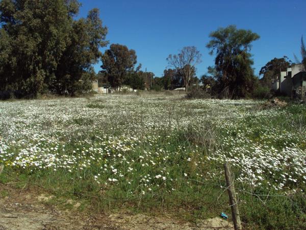 2 000 m² Land
