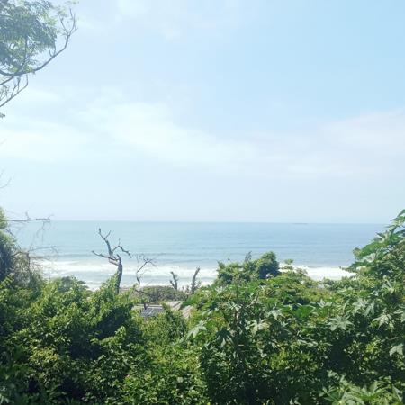 1 162 m² Land