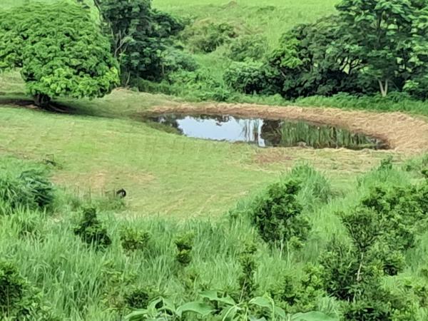 5.4 ha Farm