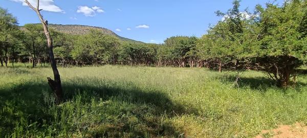 20.3 ha Smallholding