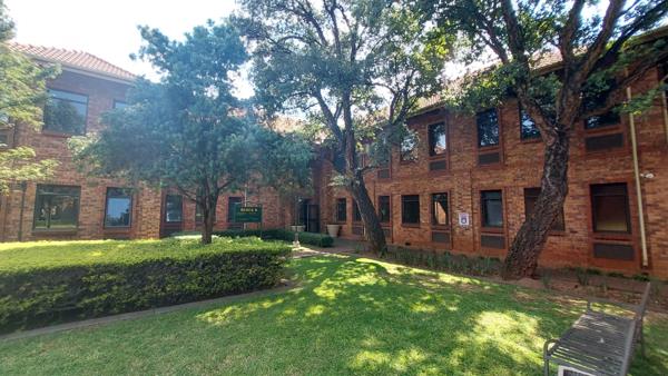 116 m² Commercial space