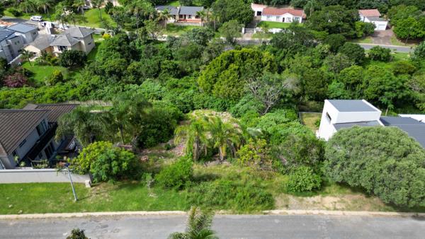 1 233 m² Land