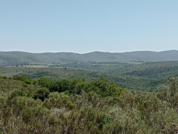 55.9 ha Farm