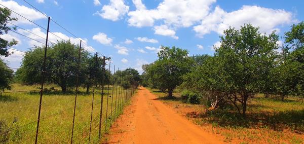 11.5 ha Smallholding