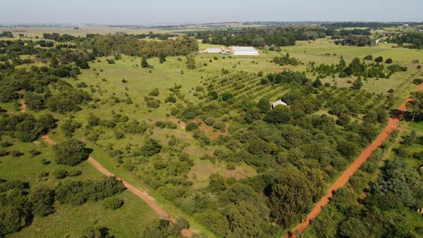 8.6 ha Smallholding
