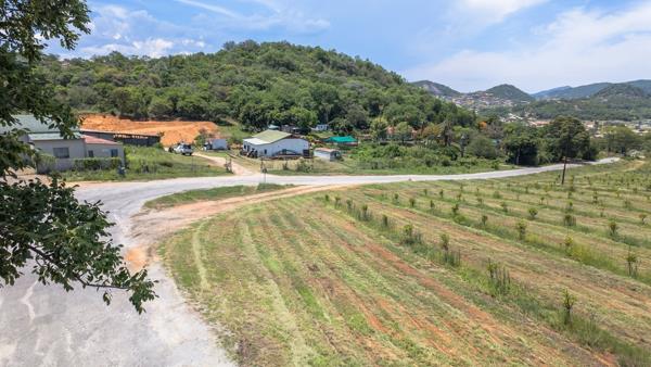 100 ha Farm
