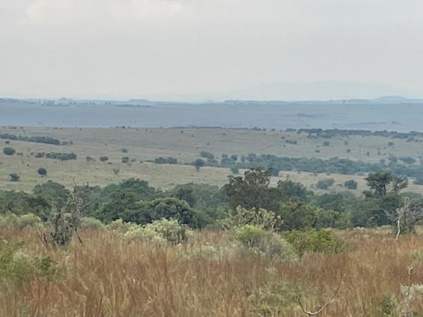 427 ha Farm