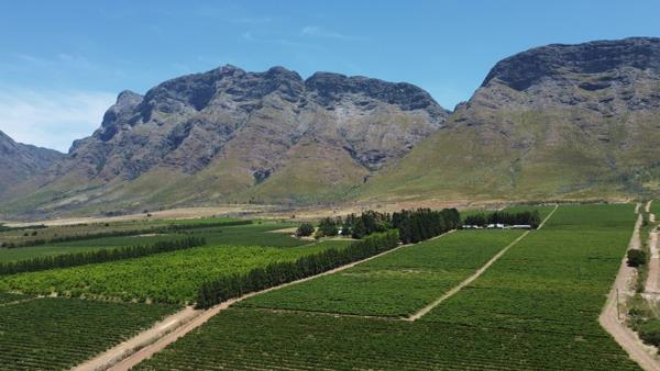 207 ha Farm with House