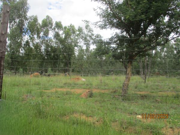 100 ha Farm with House