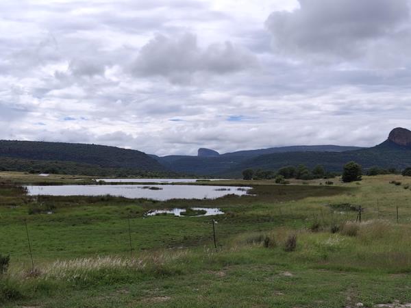 983 ha Farm