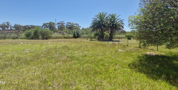 1 564 m² Land