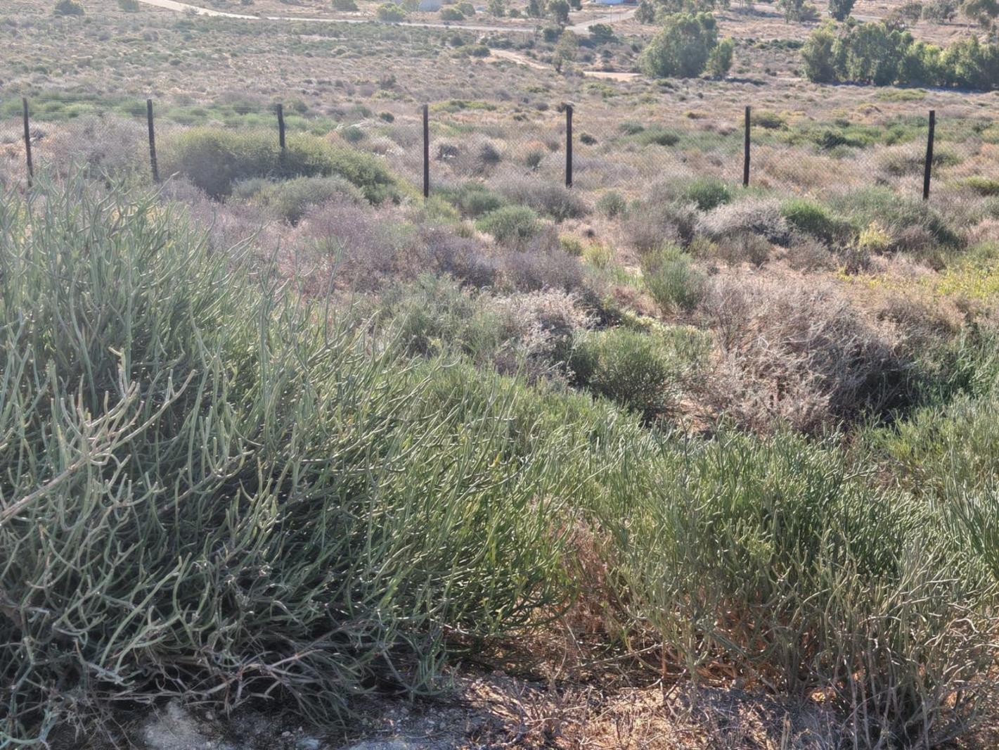 284 m² Land available in St Helena Views